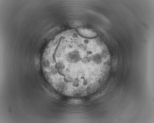 X0000112760749200910011215