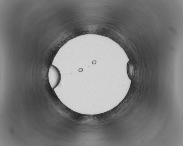 X0000112760750200910011215
