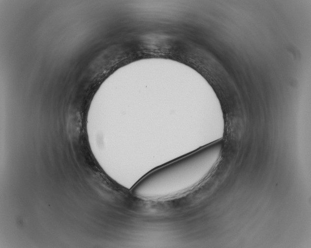 X0000112760752200910011215