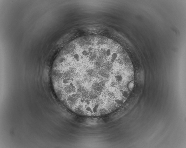 X0000112760757200910011215