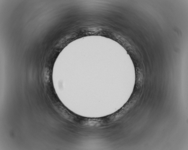 X0000112760758200910011215