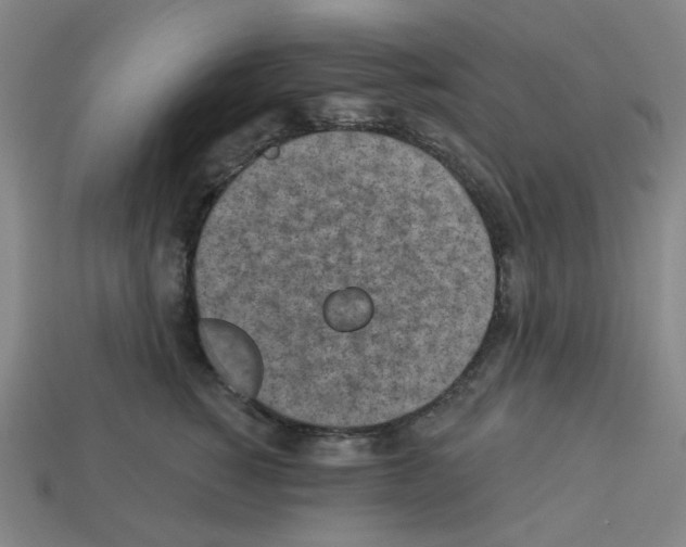 X0000112760760200910011215