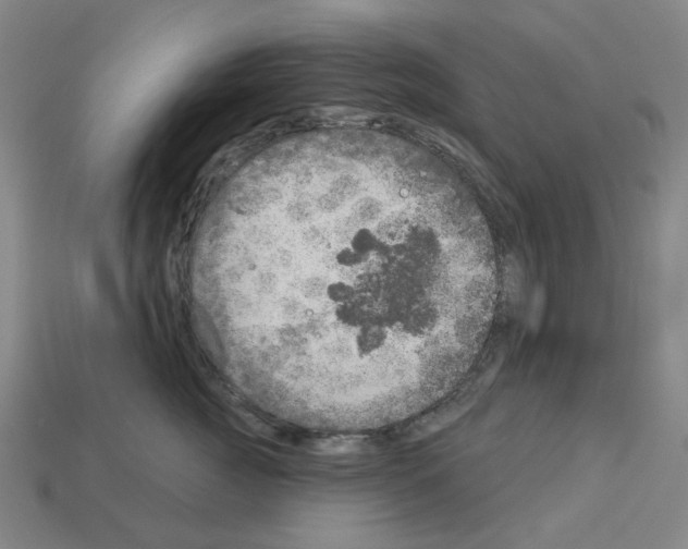 X0000112760761200910011215