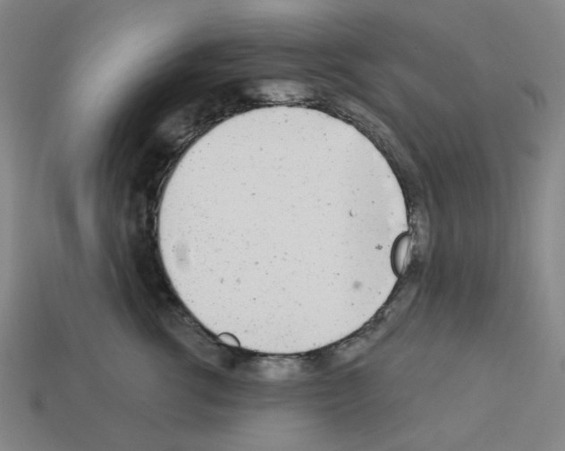 X0000112760762200910011215