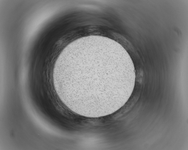 X0000112760763200910011215