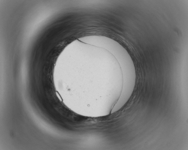 X0000112760764200910011215
