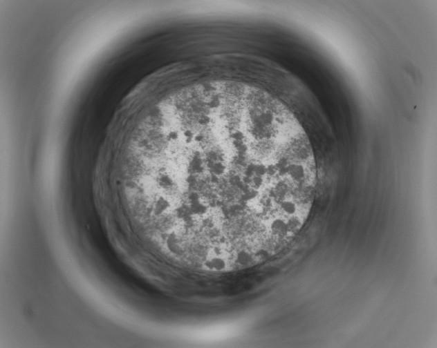 X0000112760765200910011215