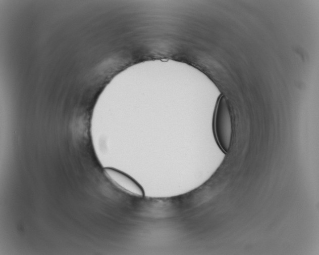 X0000112760768200910011215