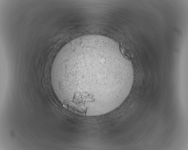 X0000112760769200910011215