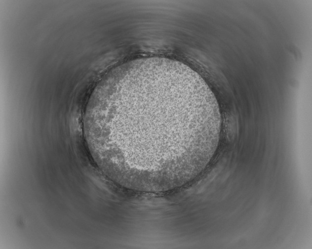X0000112760770200910011215
