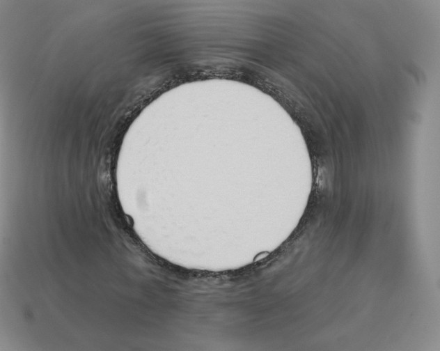 X0000112760771200910011215