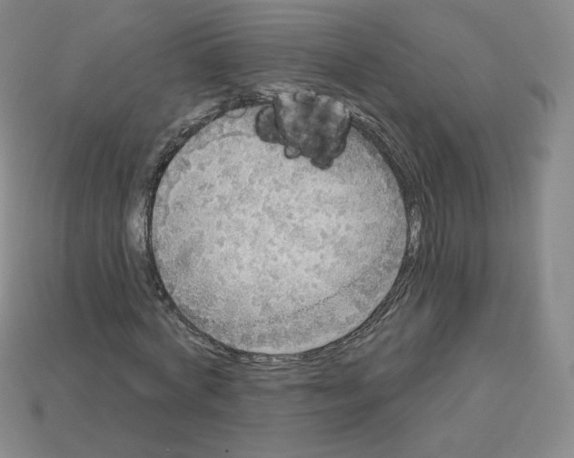 X0000112760772200910011215