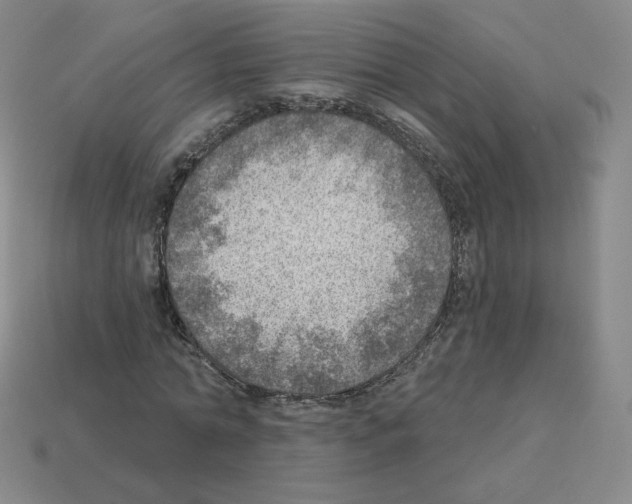 X0000112760774200910011215