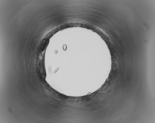 X0000112760775200910011215