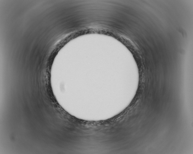 X0000112760776200910011215