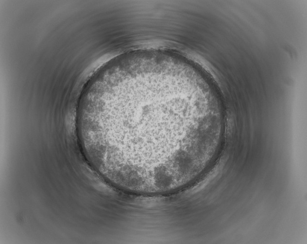 X0000112760778200910011215
