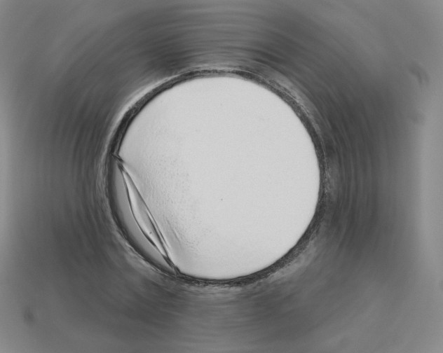 X0000112760779200910011215