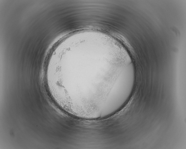 X0000112760780200910011215