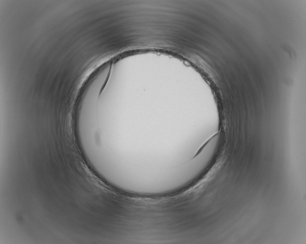 X0000112760781200910011215