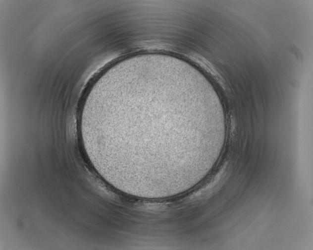 X0000112760782200910011215