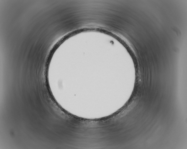 X0000112760783200910011215