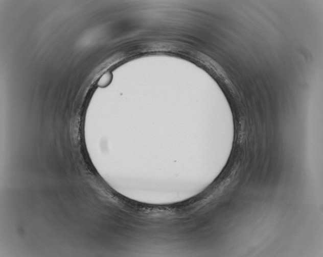 X0000112760786200910011215