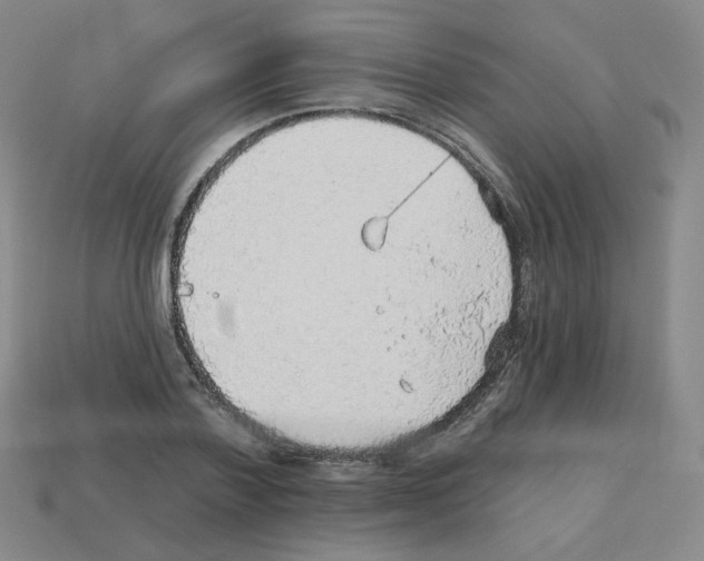 X0000112760788200910011215