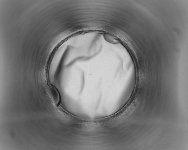 X0000112760789200910011215