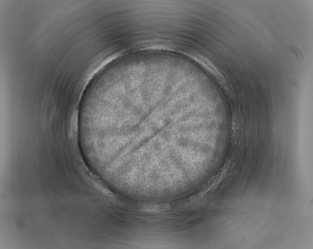 X0000112760790200910011215