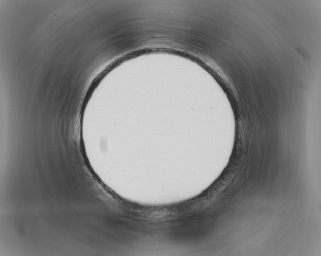 X0000112760791200910011215