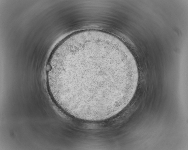 X0000112760792200910011215