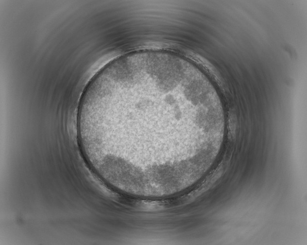 X0000112760794200910011215