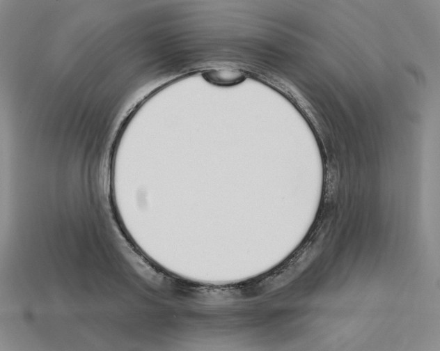 X0000112760795200910011214