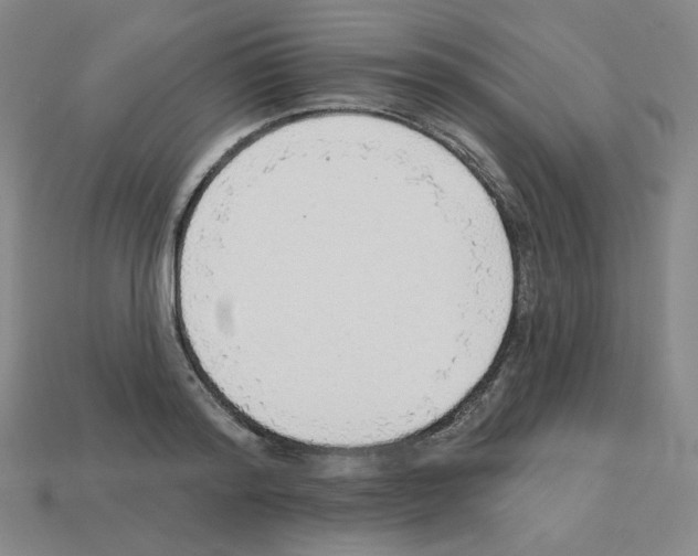 X0000112760796200910011214