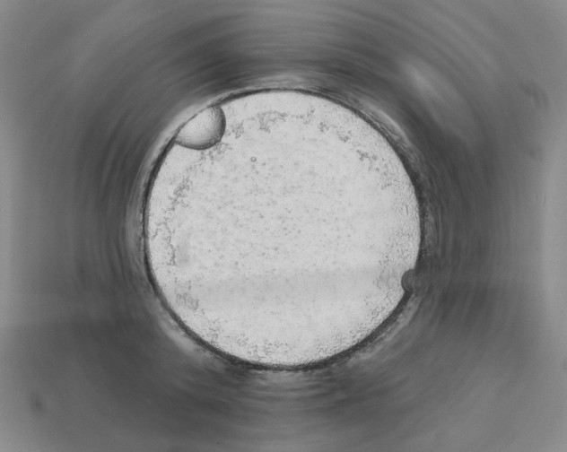 X0000112760800200910011214