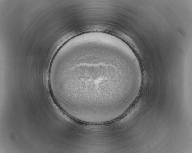 X0000112760802200910011214