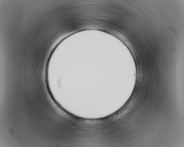 X0000112760803200910011214