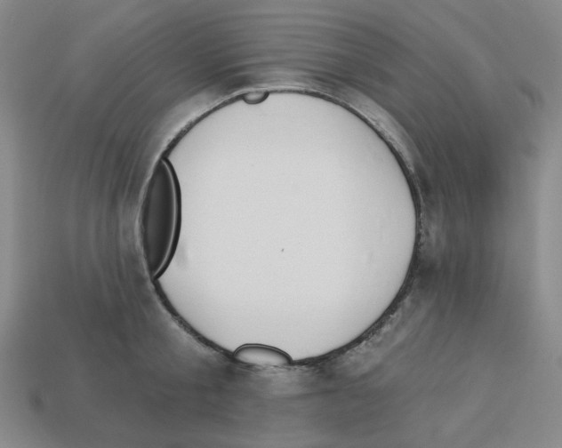 X0000112760805200910011214