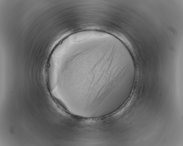 X0000112760806200910011214
