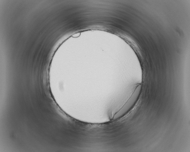 X0000112760808200910011214