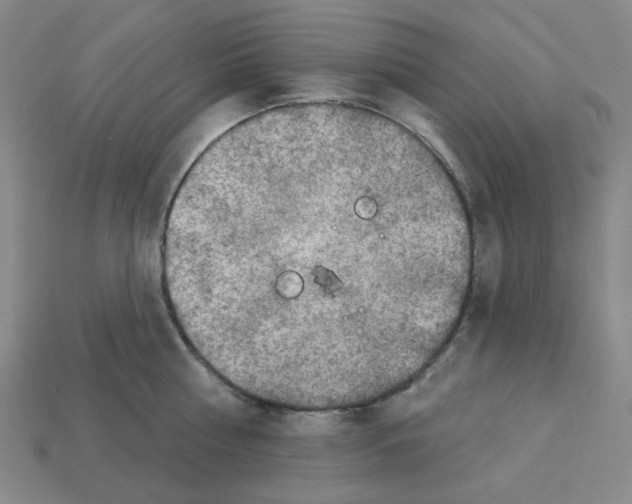 X0000112760810200910011214
