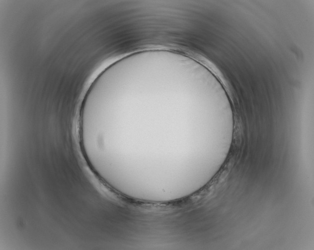 X0000112760811200910011214