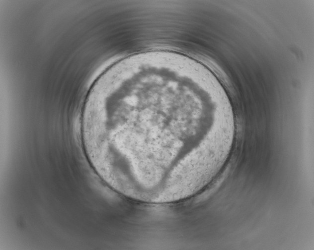 X0000112760814200910011214