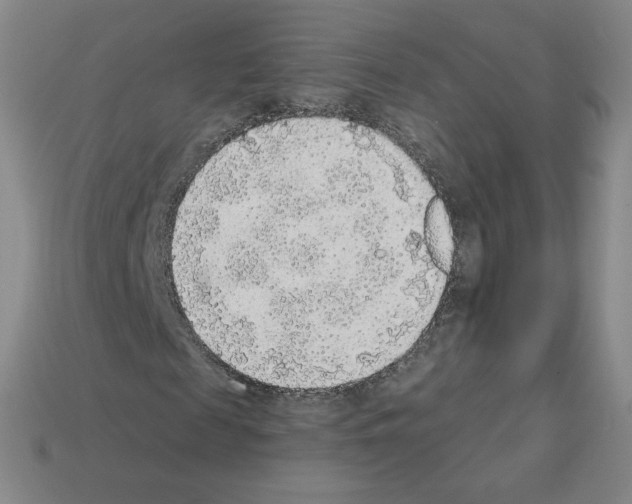 X0000112760817200910011214