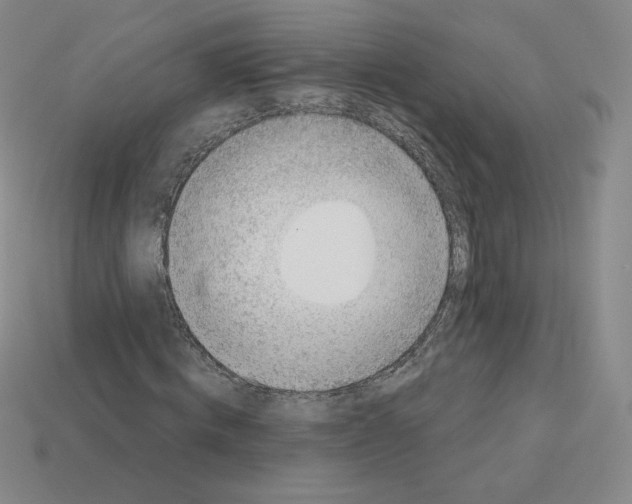 X0000112760820200910011214