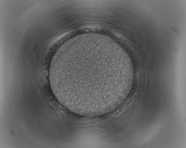 X0000112760822200910011214