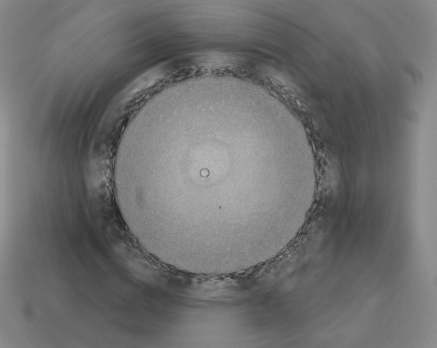 X0000112760824200910011214