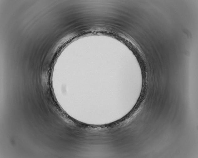 X0000112760826200910011214