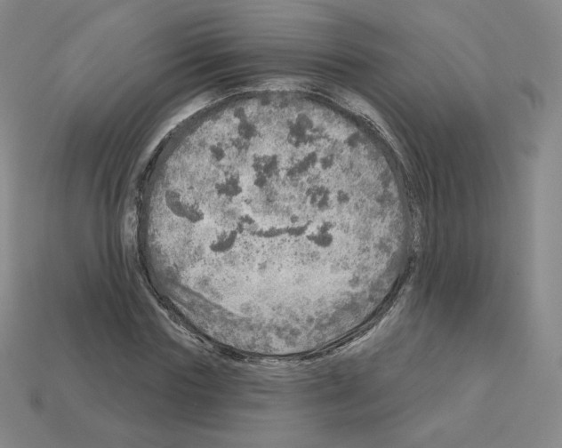 X0000112760827200910011214