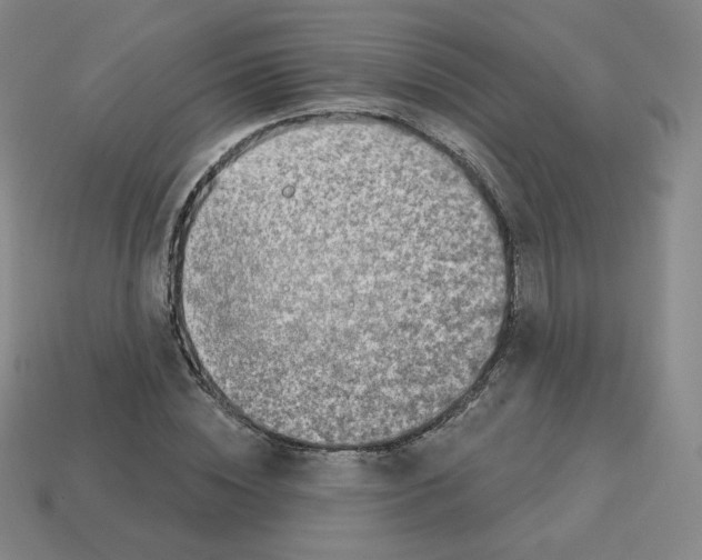 X0000112760828200910011214